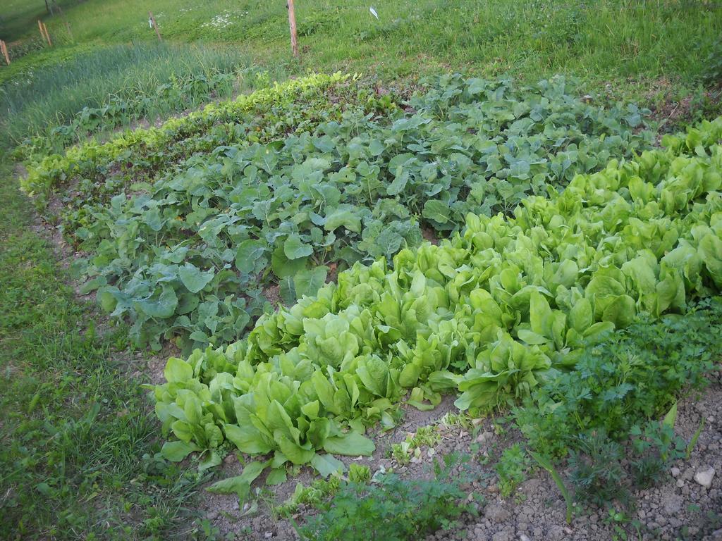 Farm Pri Flandru Βίλα Cerkno Εξωτερικό φωτογραφία