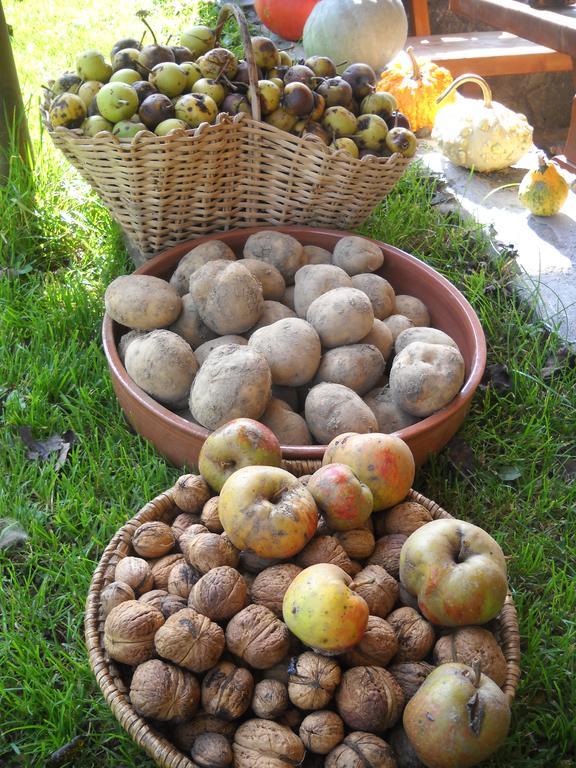 Farm Pri Flandru Βίλα Cerkno Εξωτερικό φωτογραφία