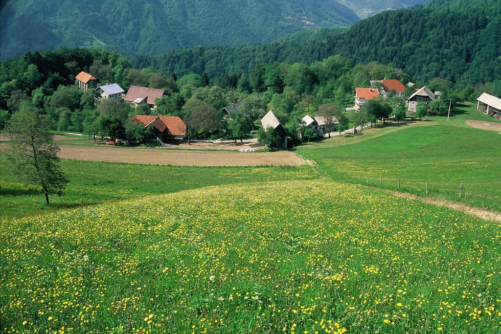 Farm Pri Flandru Βίλα Cerkno Εξωτερικό φωτογραφία